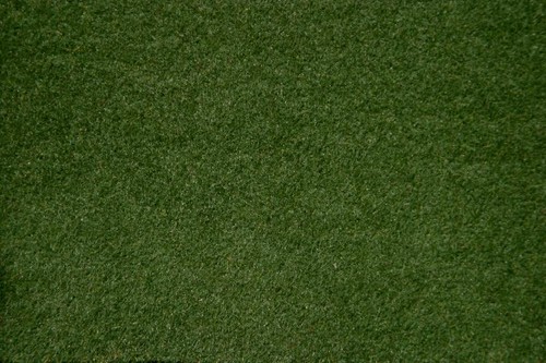 Noch tapis herbage vert - noch,,