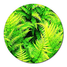 Fenêtre Verre Image No. 27