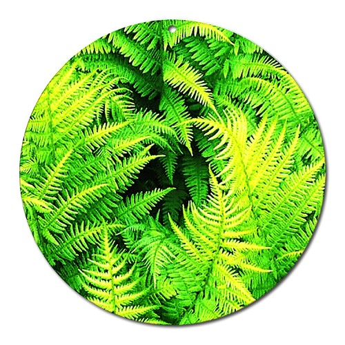 Fenêtre verre image - fenêtre, 27
