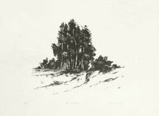 Jacques DEPERTHES - LES PEUPLIERS - lithographie signée