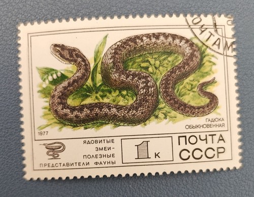 Timbre russie cccp ruissie - russie,