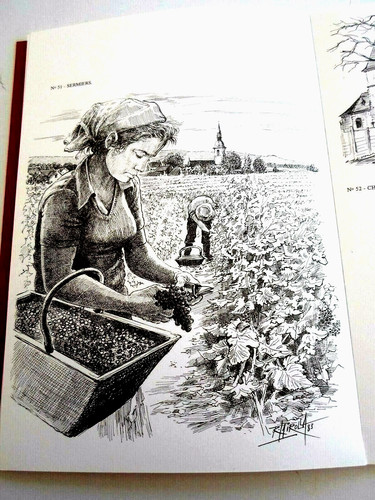 Roland irolla vignoble - roland, de