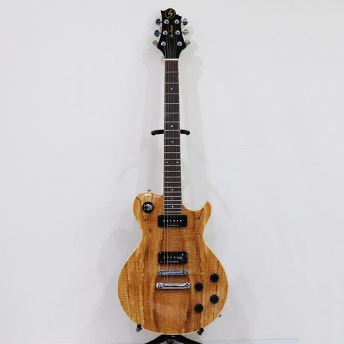 Guitare électrique greg - guitare,