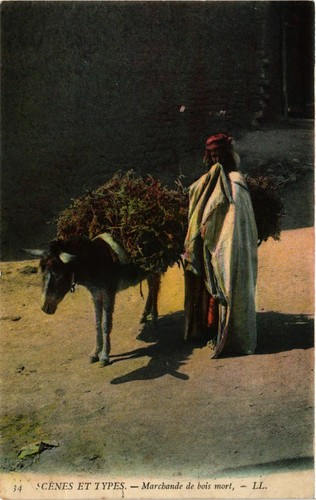 Cpa algeria scenes - algeria, 34
