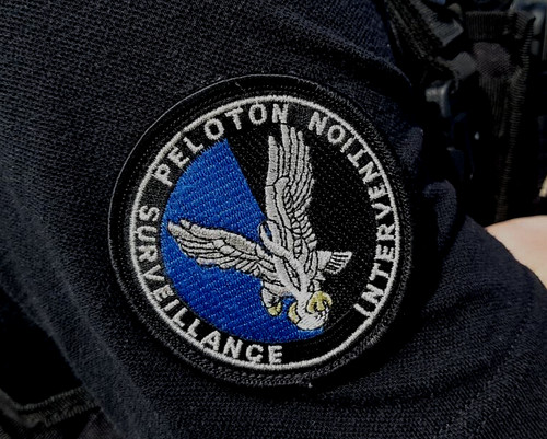 Psi écusson brodé pour la - Écusson,