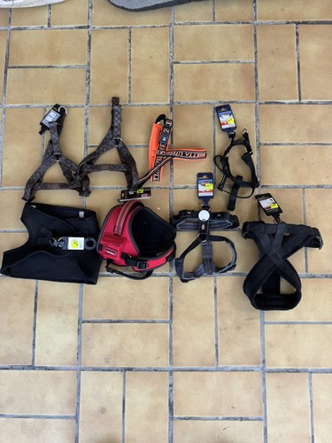 Destock lot neuf harnais de - lot,