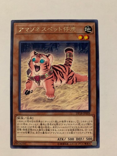 Amazoness baby tiger - baby,