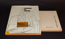 Le cubisme 1907 1914 +