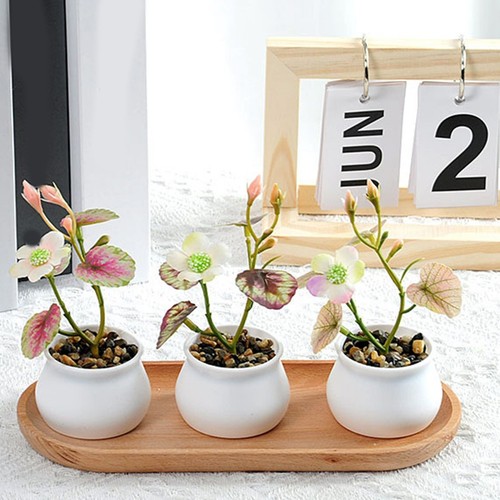 Fausse plante décoration - plante,