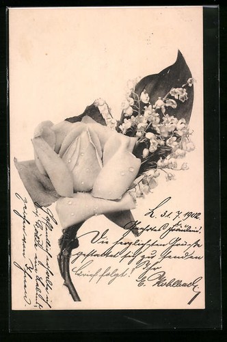 Rose muguet carte postale - muguet,,