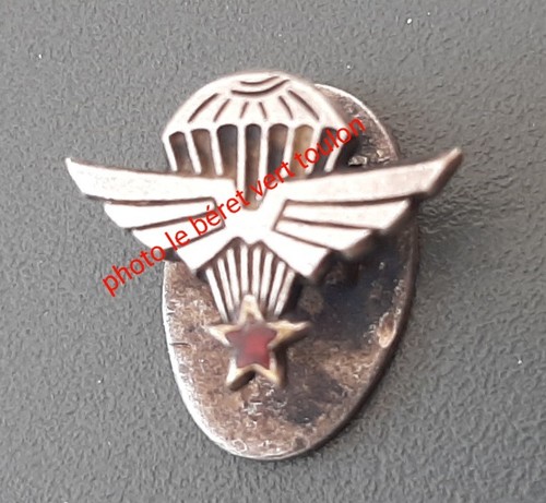 Insigne rcp miniature - insigne, 1°