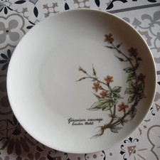 Assiette À Dessert De