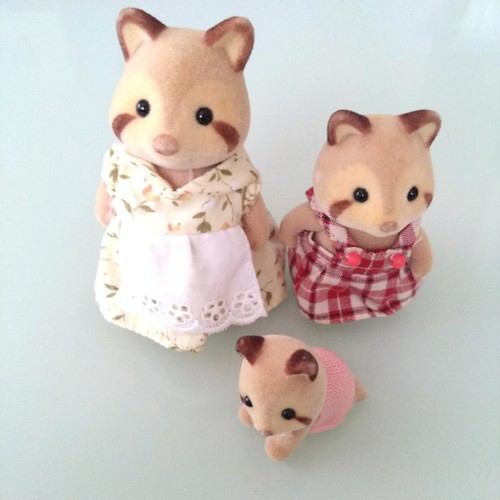 Rare bébé raton laveur