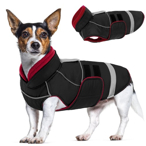 Manteau pour chien - manteau,