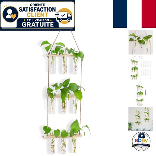 Support terrarium élégant - terrarium,