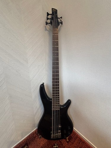 Basse électrique ibanez sdgr - électrique,