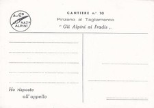 A1565) PINZANO AL CUTAMENTO
