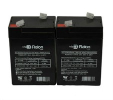 Raion 6V 4.5Ah Replacement