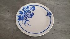   ANCIENNE  assiette    plate   22.cm de DIAM le top   salins  France gitane 