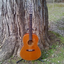 Seagull s6t folk - seagull, acoustic