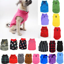 Animal De Compagnie Chat Chien