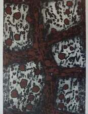 Zoran MUSIC : Terres Dalmates