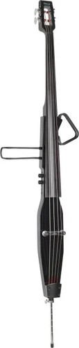Electric double bass with - electric,