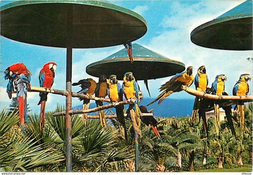 Carte postale animaux - carte,