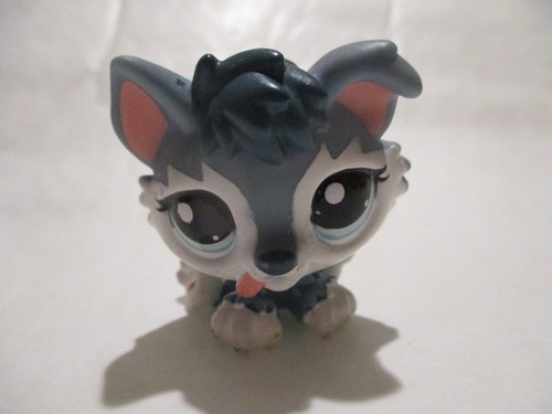 Petshop chiot husky - chiot, n°2036