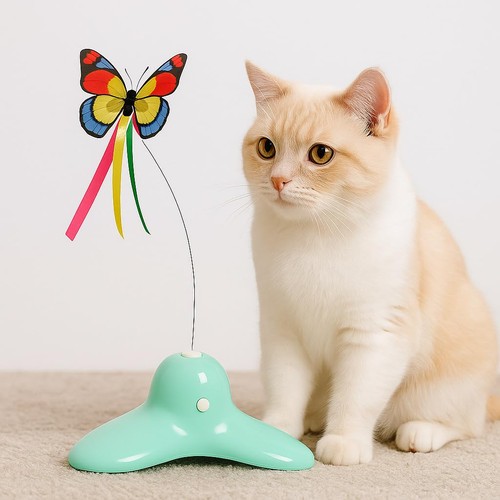 Jeu chat bleu - jeu,