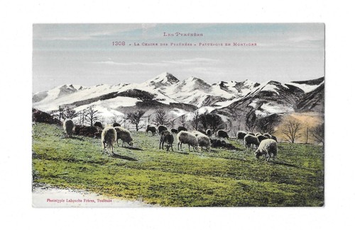 Rare carte postale - rare,