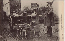 CPA - BELGIQUE - Attelage de chiens flamands - Laitière.