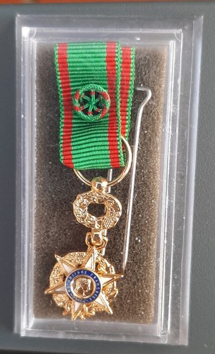 Médaille miniature officier - médaille,