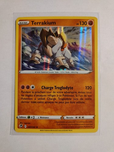Carte pokemon terrakium - carte,
