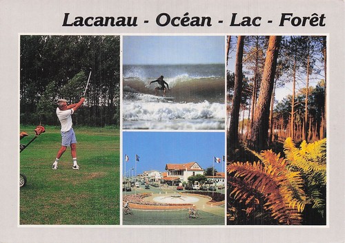 Lacanau cote aquitaine - lacanau,