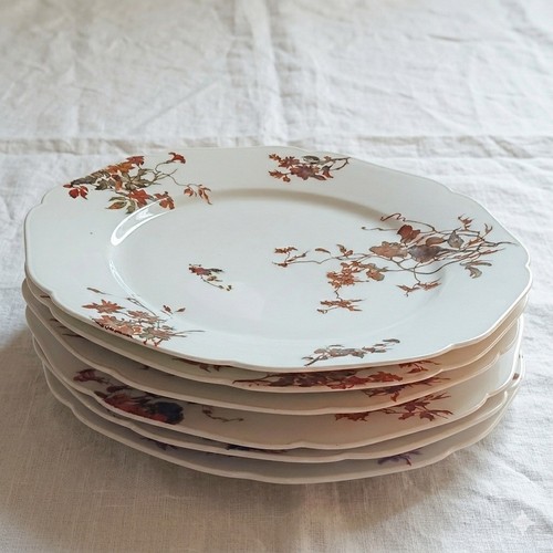 Lot assiettes haviland co - assiettes,