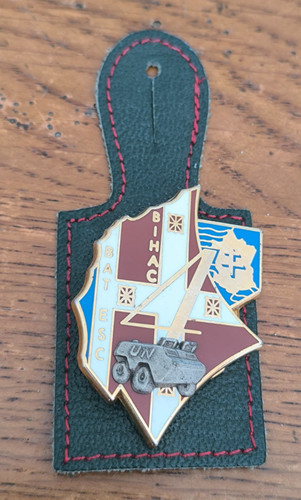 Insigne ri régiment - 5°,