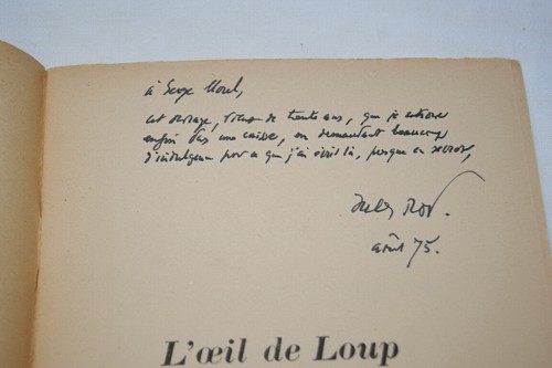 Oeil loup roi de - du,