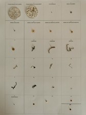 ETA 2894/2- PIECES MODULE CHRONOGRAPHE 8510-VOIR MENU DÉROULANT
