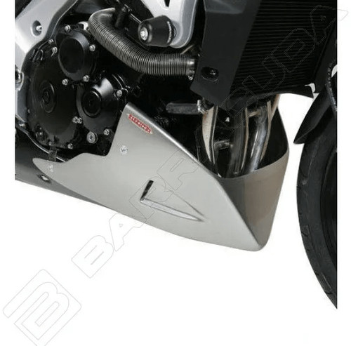 Triumph 1050 speed triple - triumph,