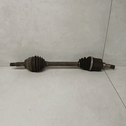 1697493 semialbero ant compl - ant.,