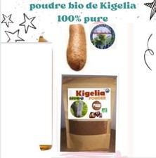 Poudre de Kigelia Afrcana 100%