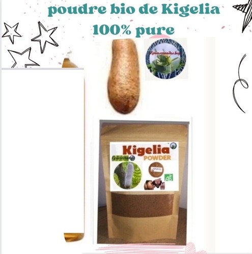 Poudre kigelia afrcana 100 - poudre, 100%