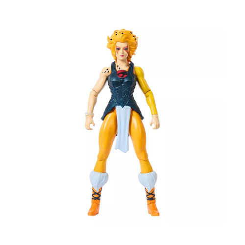 Masters the universe x - universe,