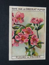 CHROMO CHOCOLAT PUPIER 1930