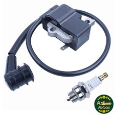 Module bobine d'allumage