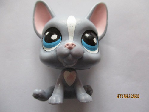 Petshop chien bouledogue - petshop,