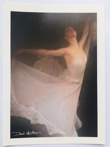 Carte postale david hamilton - david,