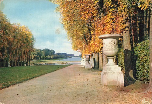 Versailles tapis vert - versailles,