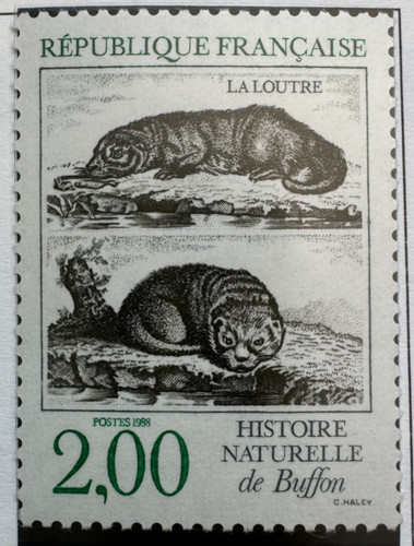 Timbre 1988 2539 - timbre, buffon